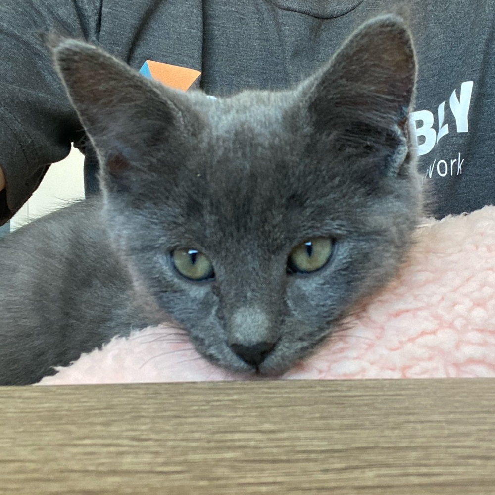 Meet your Posher, Mary-elizabeth